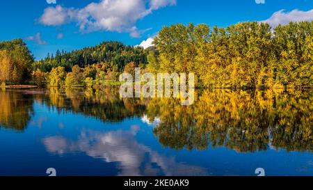 Herbst in der Grafschaft Perth & Kinross, Schottland, Großbritannien Stockfoto