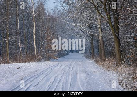 Schneebedeckte Straße im Dorf Rogow in der Woiwodschaft Lodzkie in Polen Stockfoto