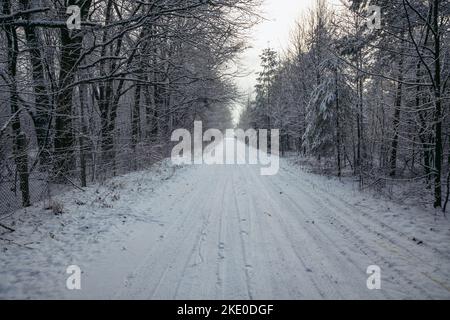 Schneebedeckte Straße im Dorf Rogow in der Woiwodschaft Lodzkie in Polen Stockfoto