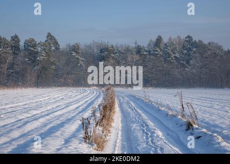 Ländliche Feldstraße im Dorf Rogow in der Woiwodschaft Lodzkie in Polen Stockfoto
