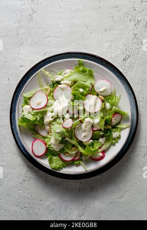 Sommer-itaische Salas mit Salat, Radieschen und Sauce auf einem Teller. Draufsicht. Speicherplatz kopieren. Stockfoto