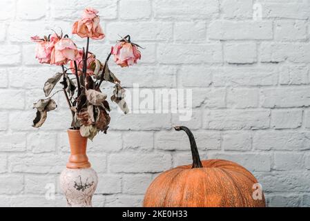 Getrockneter Rosenstrauß und Kürbis in der Nähe der weißen Ziegelmauer Stockfoto