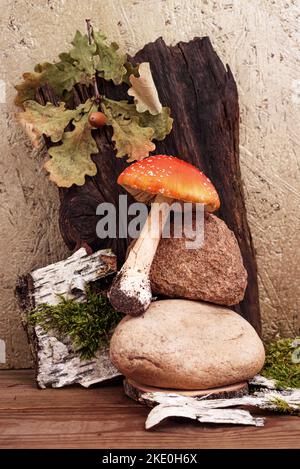 Fliegen Sie Amanita mit Rinde und Steinen aus der Nähe auf dem Holztisch Stockfoto