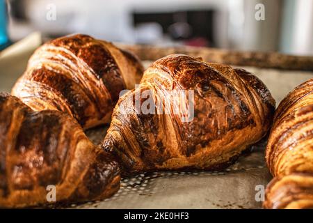 Frische warme Croissants auf einem im Ofen gebackenen Backblech. Blick durch die Glastür. Selektiver Fokus. Stockfoto
