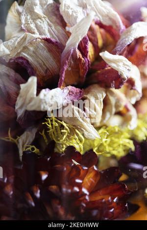 Bunte getrocknete Blumen. Stockfoto