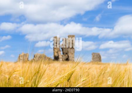 Bawsey Ruinen als Hintergrund durch den Weizen in Baesey alte Kirche in West Norfolk gesehen, aufgenommen am 9.. Juli 2022. Stockfoto