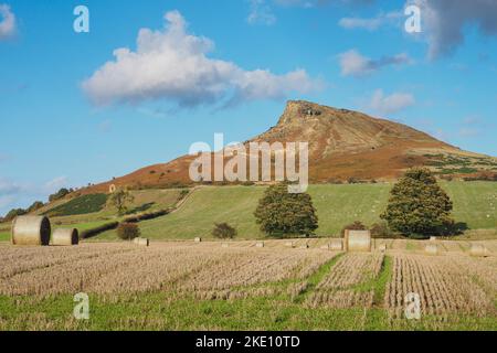 Blick auf den Gipfel der Roseberry Topping über Feld von Heuballen, North York Moors Stockfoto