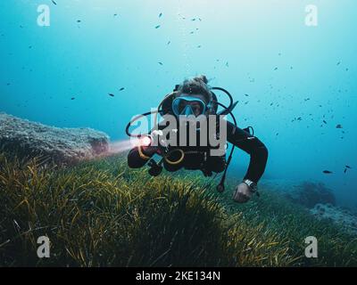 Ein Taucher erkundet die Riffe von Gozo mit einer Taschenlampe in der Hand über den Algen Stockfoto