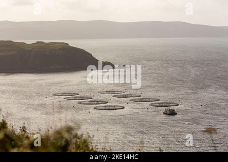 Eine Lachsfischfarm in Loch Ainort auf der Isle of Skye in den schottischen Highlands Stockfoto