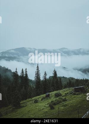 Berglandschaft mit nebelbedeckten Bergkette und Kiefern Stockfoto