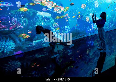 Sharm El Sheikh, Ägypten. 09.. November 2022. Die Teilnehmer machen Fotos während der UN-Klimakonferenz 2022 COP27. Kredit: Gehad Haddy/dpa/Alamy Live Nachrichten Stockfoto