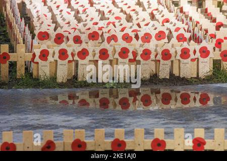 London, Großbritannien. 9.. November 2022. Mohnblumen und Kreuze im Remembrance-Garten auf dem Gelände der Westminster Abbey. Sie erinnern sich an die Gefallenen des Ersten Weltkriegs zum Waffenstillstandstag, dem 11.. November. Kredit: Karl Black/Alamy Live Nachrichten Stockfoto