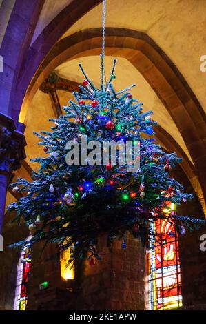 SELESTAT, FRANKREICH - 20. DEZEMBER 2015: Hängende geschmückte Weihnachtsbäume in der St. George's Church. Stockfoto