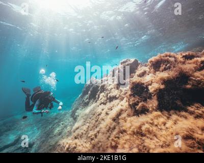 Ein Taucher, der unter Wasser schwimmt, von Fischen umgeben ist, und Korallenriffe auf Malta erkundet Stockfoto