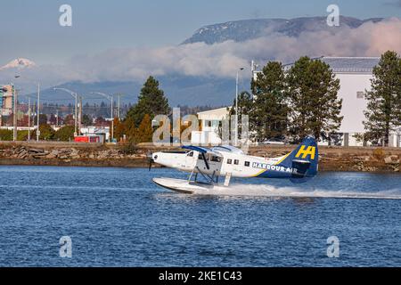 Turbo Beaver Float-Flugzeug, das von einem Arm des Fraser River in Richmond, British Columbia, Kanada, abfliegt Stockfoto