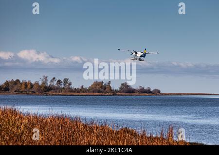 Turbo Beaver Float-Flugzeug, das von einem Arm des Fraser River in Richmond, British Columbia, Kanada, abfliegt Stockfoto