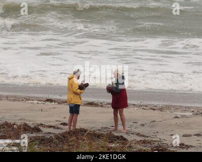 Palm Beach, Usa. 09.. November 2022. Der Tropensturm Nicole nähert sich der Stärke des Hurrakens als Harold (L) und Bonnie Cohen aus Florida, New York Walk the Beach Sammeln von Korallenblöcken, die durch die Wellen von Nicole auf den Strand geschoben werden.Hurrakbedingungen werden für die Ostküste von Florida erwartet, als Tropensturm Nicole an der Küste von Palm Beach, Florida, am Mittwoch, den 9. November 2022 Kraft sammelt. Foto von Gary i Rothstein/UPI Credit: UPI/Alamy Live News Stockfoto