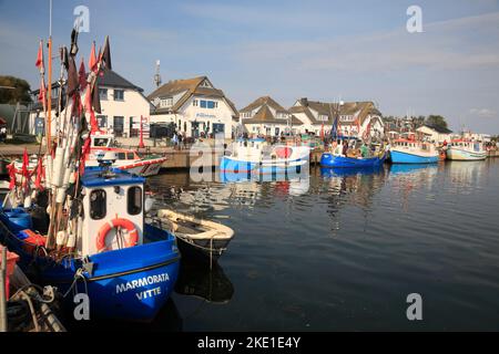 Fischtrawler im Hafen von Vitte, Insel Hiddensee, Ostsee, Mecklenburg Vorpommern, Deutschland Stockfoto