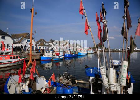Fischtrawler im Hafen von Vitte, Insel Hiddensee, Ostsee, Mecklenburg Vorpommern, Deutschland Stockfoto
