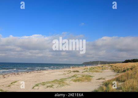 Strand in Vitte, Hiddensee, Ostsee, Mecklenburg Vorpommern, Deutschland Stockfoto