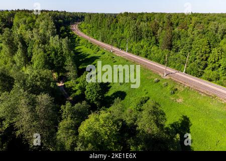 Landschaftlich reizvolle Waldlandschaft mit Bahndrehs Stockfoto