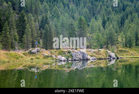 Die Colbricon-Seen im Sommer mit dem Berg, der sich auf dem Wasser spiegelt - Lagorai-Kette, Provinz Trient,Trentino-Südtirol, Norditalien - Europa - Stockfoto