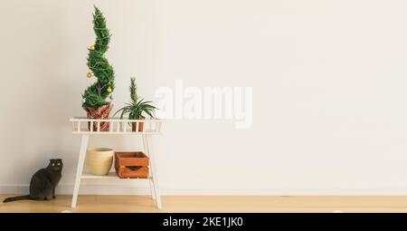 Banner Indoor Zypresse oder Thuja im Topf ist Dekoration Kugeln wie Weihnachtsbaum und Katze sitzt in der Nähe. Alternative Bäume für weihnachten Copy Space und Stockfoto