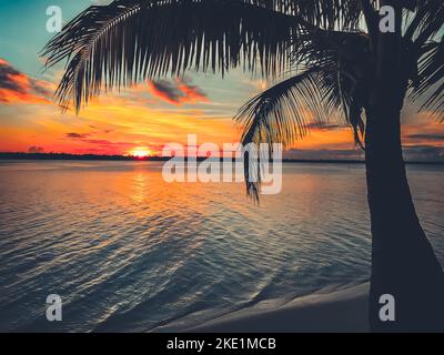 Sonnenuntergang Palme Silhouette Landschaft. Erstaunliche natürliche Sommerlandschaft. Wunderschöne Naturlandschaft. Konzept des idealen Rastplatz. Beliebtes Touristenziel. Reisen, Abenteuer, Entspannung, Resortkonzept. Stockfoto