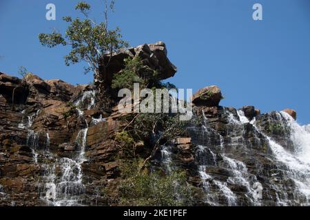 Der Wasserfall Tirathgarh befindet sich im Kanger Valley National Park. Eine weiße Kaskade, dies ist eine der wichtigsten Attraktionen von Jagdalpur Stockfoto