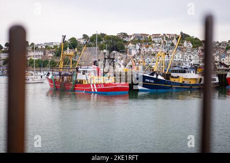 Fischerboote im Hafen von Brixham Fish Market, Brixham, South Devon. Stockfoto