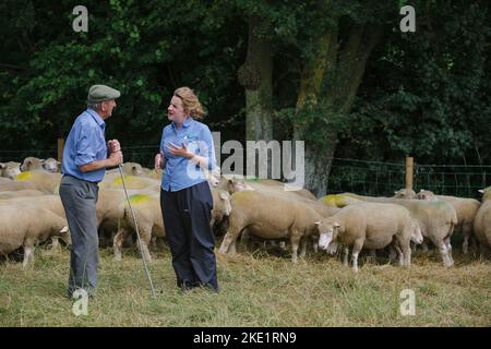 Bild von Jim Wileman - Emily Gascoigne, Tierärztin, auf der Eastfields Farm, East Chinnock, mit Phil Baker und seinen Poll Dorsets des Chinnock Stockfoto