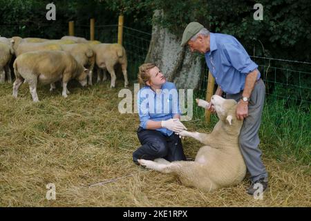 Bild von Jim Wileman - Emily Gascoigne, Tierärztin, auf der Eastfields Farm, East Chinnock, mit Phil Baker und seinen Poll Dorsets des Chinnock Stockfoto