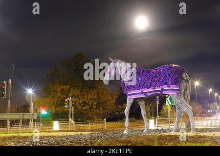 Die Pferdeskulptur in Horsforth in Leeds wurde von Murphy's Army Purple Poppy Campaign mit einem neuen Purple Poppy Coat ausgestattet Stockfoto