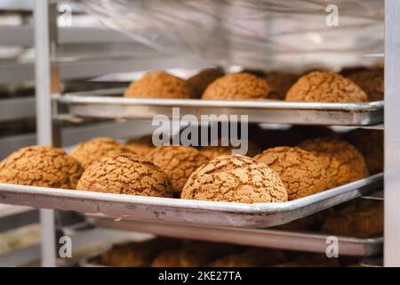 Frisch gebackene Brötchen sitzen kühl auf einem Backblech Stockfoto