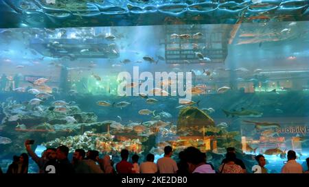 DUBAI, VEREINIGTE ARABISCHE EMIRATE, VAE - 20. NOVEMBER 2017: Aquarium in der Dubai Mall - dem größten Einkaufszentrum der Welt. Die Menschen genießen die schöne Aussicht. Hochwertige Fotos Stockfoto