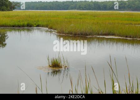 Felder, Wälder, Gezeitenmooren, felsige Küsten und großartige Aussichten sind hier zu genießen. Abgeschiedene Lage in einem ruhigen Teil von Durham NH. Outdoor von seiner besten Seite. Stockfoto