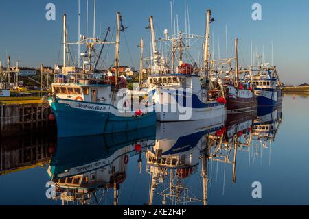 Festgespannte Fischtrawler, Twillingate, Neufundland und Labrador NL, Kanada Stockfoto