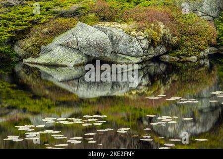 Felsaufschlüsse spiegeln sich in kleinen borealen Teich, Rose Blanche, Neufundland und Labrador NL, Kanada Stockfoto