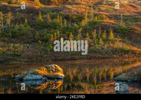 Teiche und baumloses Gelände bei Sonnenaufgang, Hwy 470 in der Nähe von Margaree, Neufundland und Labrador NL, Kanada Stockfoto