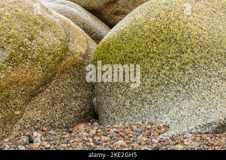 Felsige Küste und Surfen bei Sonnenuntergang, Gros Morne National Park, Neufundland und Labrador NL, Kanada Stockfoto