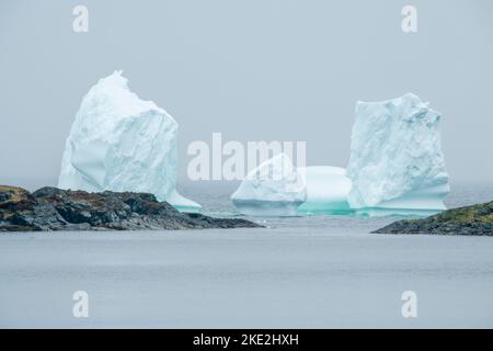 Giant Eisberg, Goose Cove, Neufundland und Labrador NL, Kanada Stockfoto