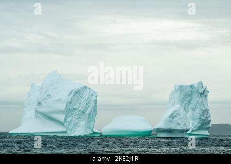 Giant Eisberg, Goose Cove, Neufundland und Labrador NL, Kanada Stockfoto