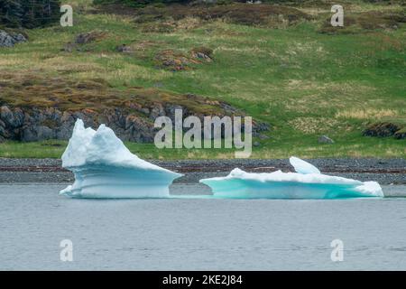 Iceberg, St. Lunaire-Griquet, Neufundland und Labrador NL, Kanada Stockfoto