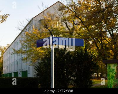 Leere Straßenschilder an einer Ecke in einem Wohnviertel. Blaue Metallplatten auf einem Wegweiser als Vorlage oder Kopierraum. Herbstblätter auf den Bäumen. Stockfoto