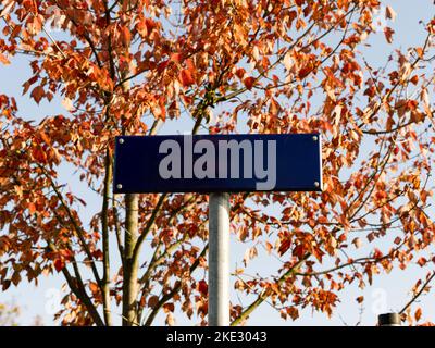 Leeres Straßenschild vor einem Herbstbaum. Blaue Metallplatte als Kopierfläche. Vorlage für einen Straßennamen in Deutschland mit schönen orangefarbenen Blättern. Stockfoto