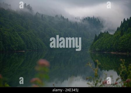 Schöne Aussicht auf den Shaor Stausee im Sommer Stockfoto