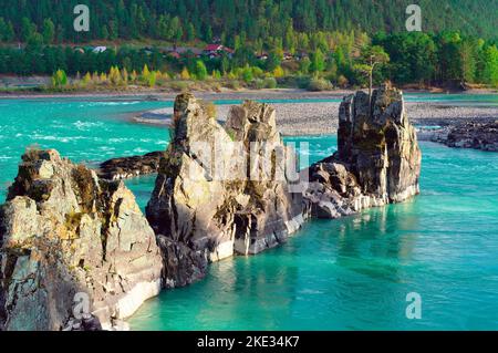 Dragon Teeth rockt auf Katun. Scharfe dreieckige Felsen im Bett eines Bergflusses mit smaragdfarbenem Wasser. Altai-Republik, Sibirien, Russland, 2022 Stockfoto