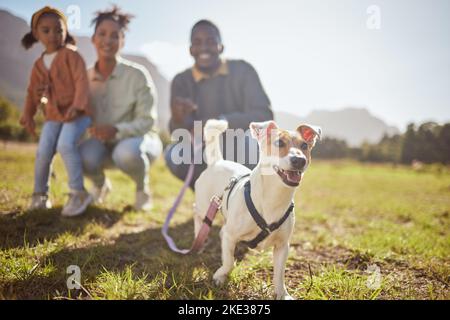 Schwarze Familie, Kind oder Haustier Hund im Naturpark, Umwelt-Garten oder Nachhaltigkeit Gras Land für Jack Russell Terrier Walk. Mann, schwarze Frau und Stockfoto