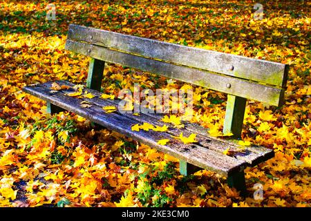 Herbst im Kurpark Turcianske Teplice in der Westslowakei. Stockfoto