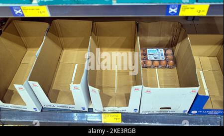 Glasgow, Schottland, Großbritannien 10.. November 2022. Leere Regale in Aldi Mangel an Eiern aufgrund der Vogelgrippe. Credit Gerard Ferry/Alamy Live News Stockfoto